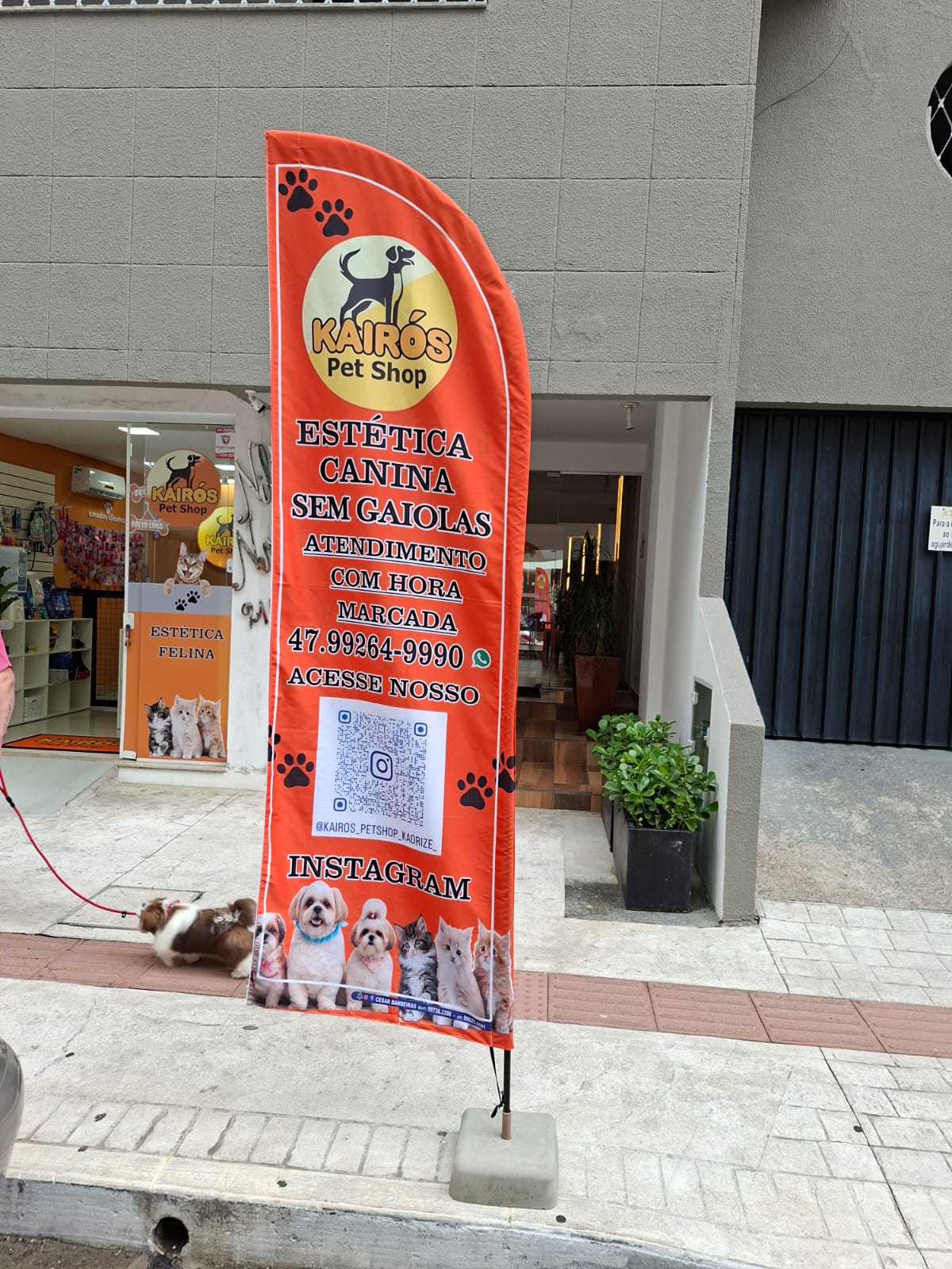 Windflag com identidade visual de marca